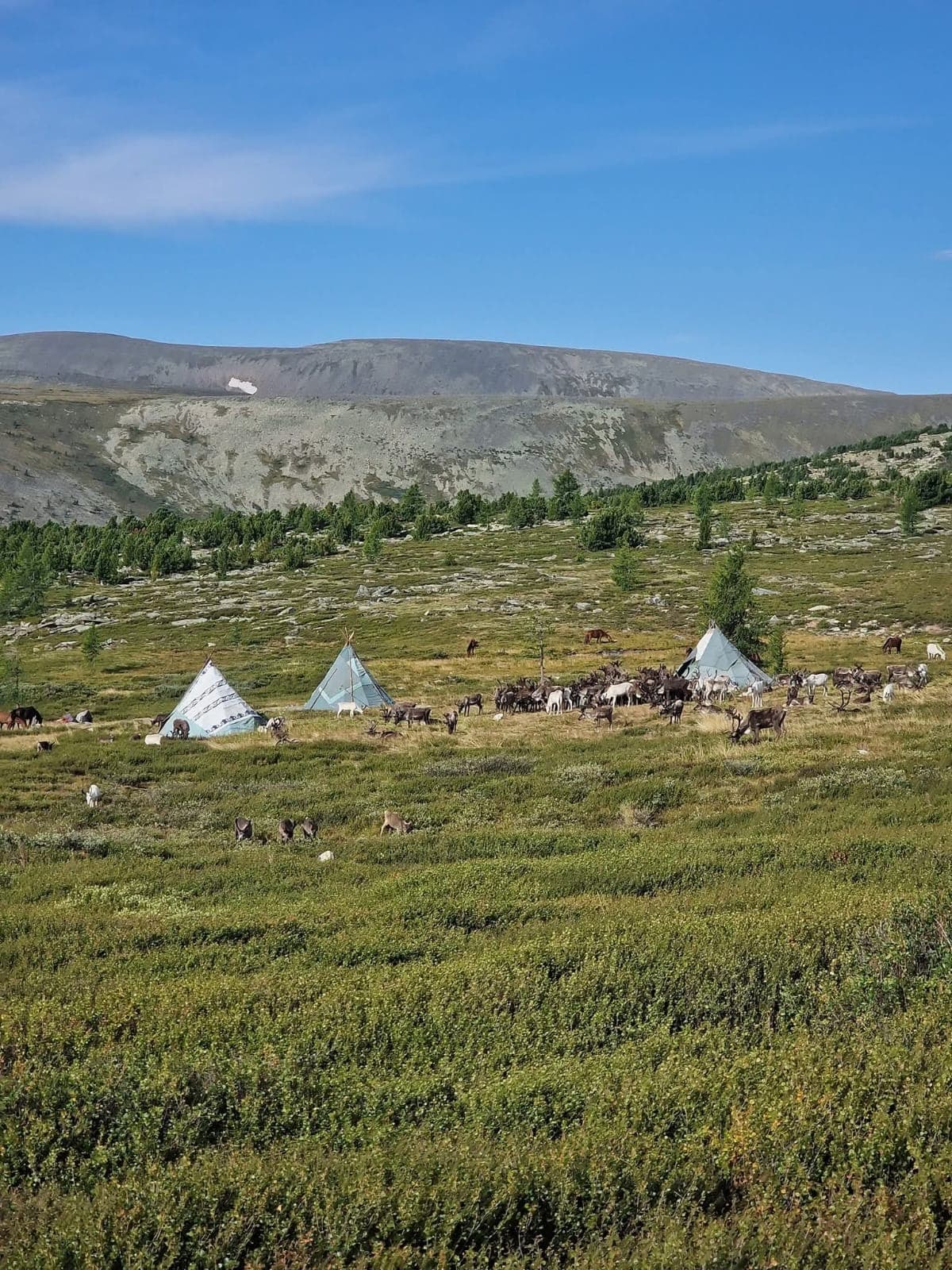 Gobi to the reindeer taiga photo 4