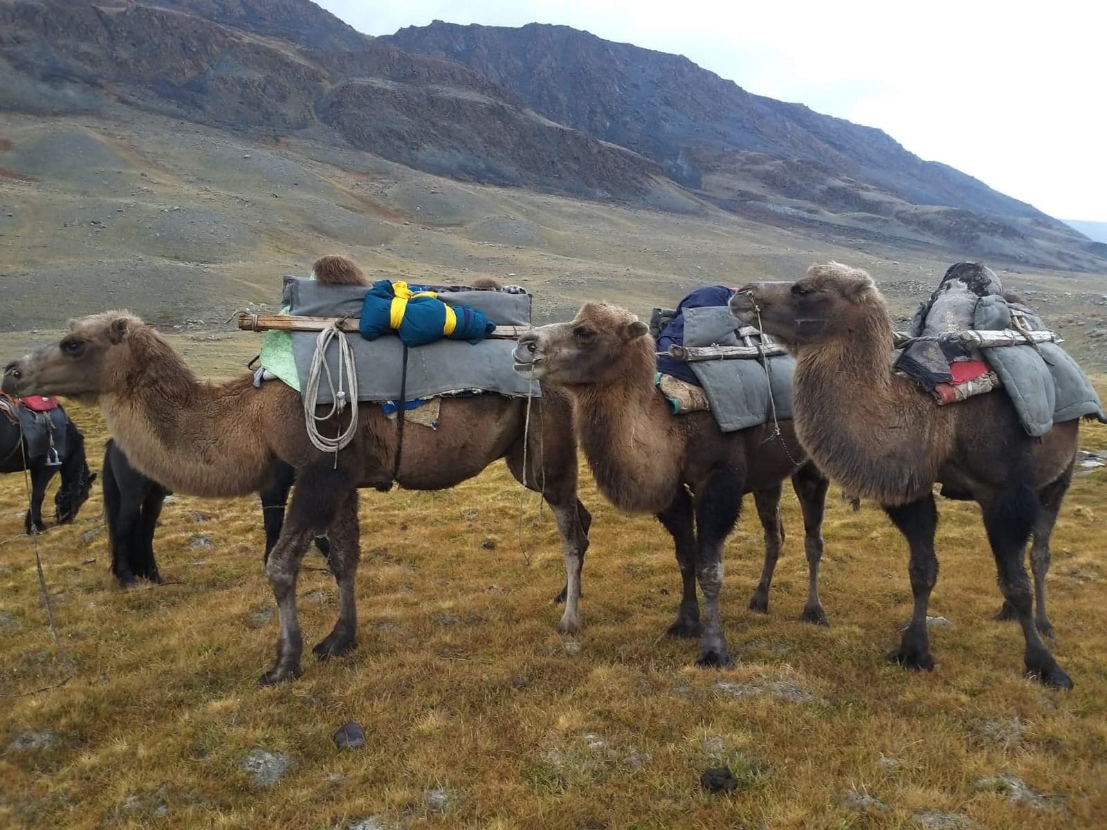 Altai Tavan Bogd trek photo 4